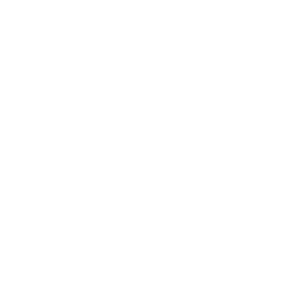 big 3 critical illne