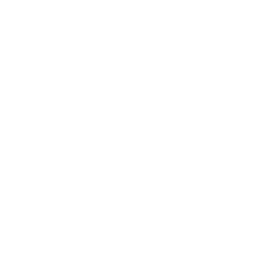 critical illness plus