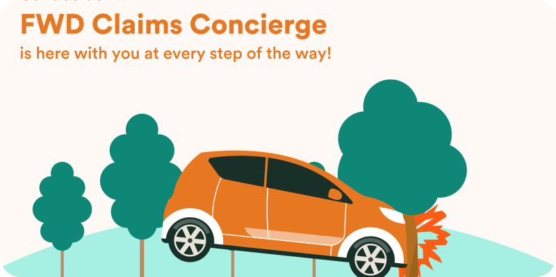 FWD Car Concierge How It Works