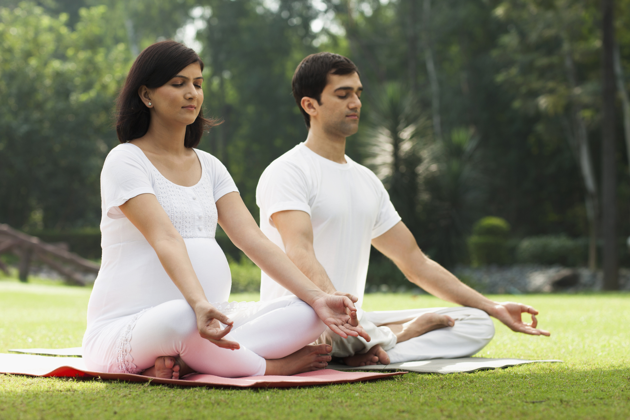 FWD Travel Insurance