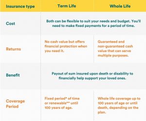 Whole life versus term life protection