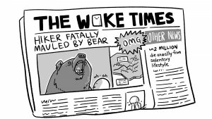 Should you pay for a super expensive ($588) personal accident plan like me?